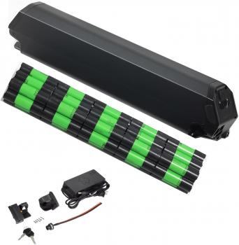 reention dorado 36v battery reention dorado battery 48v 